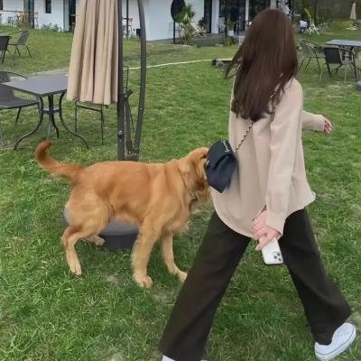 诱惑出击